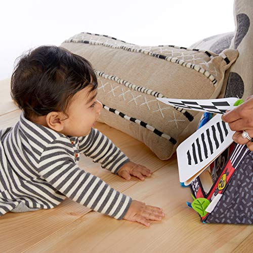 Baby Einstein Activity Mirror with Cards Baby Einstein Activity Mirror with Cards